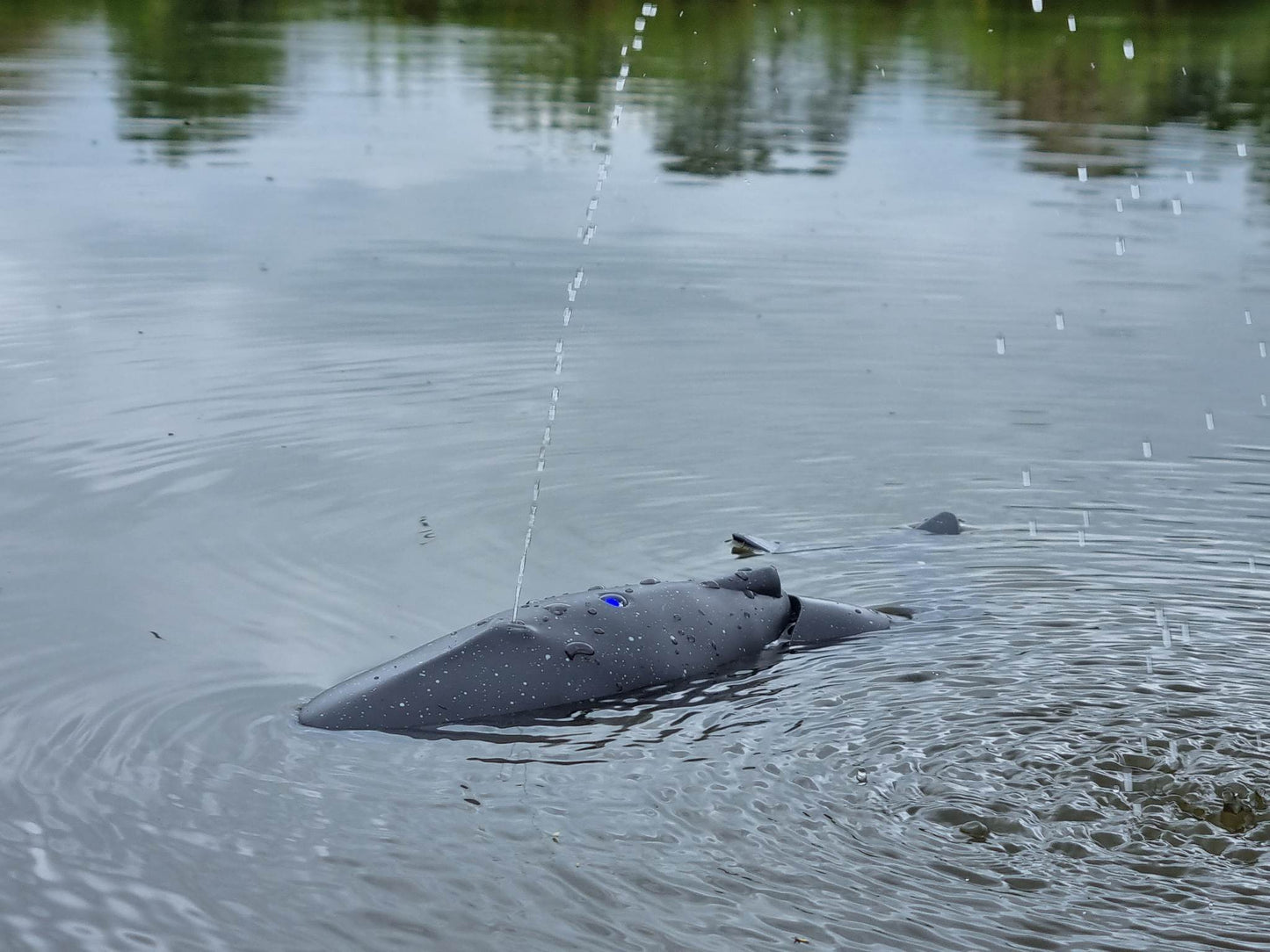 RC Model Bath Time Kids WATER SPRAY swimming model whale shark toy