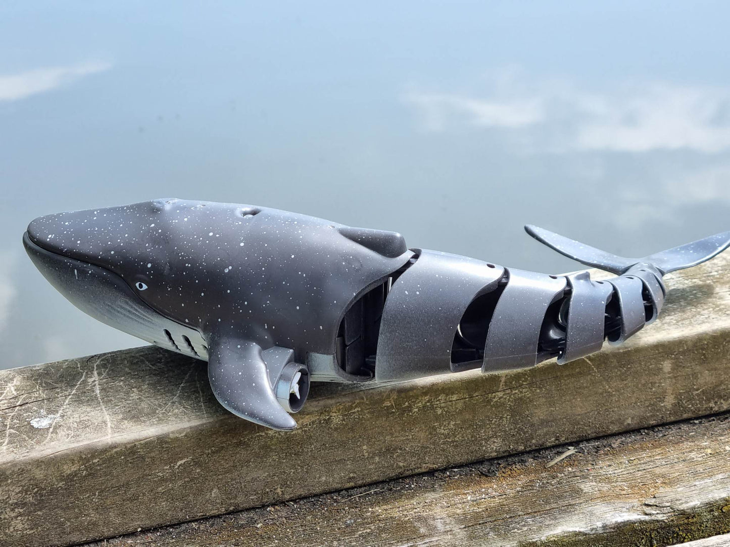 RC Model Bath Time Kids WATER SPRAY swimming model whale shark toy