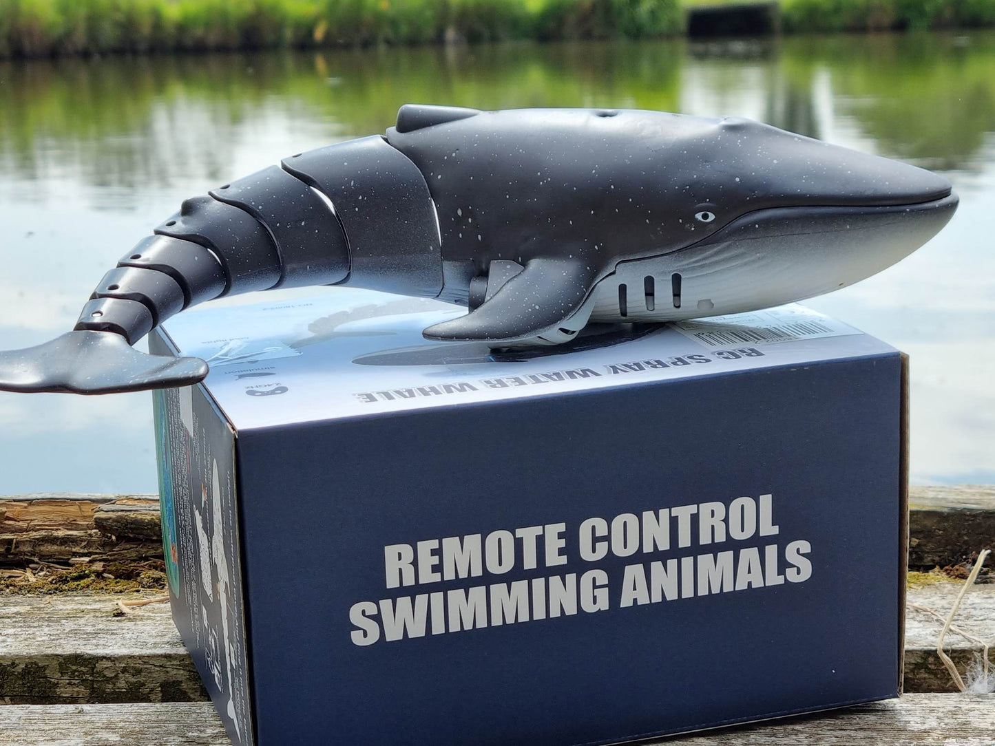 RC Model Bath Time Kids WATER SPRAY swimming model whale shark toy