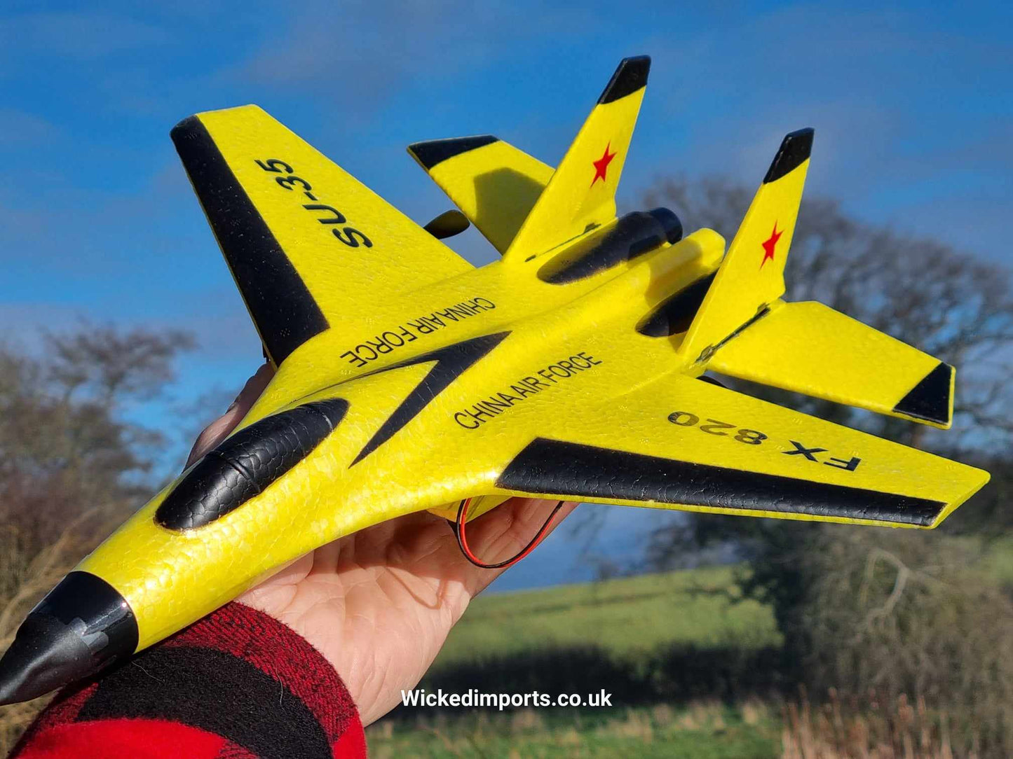 FX-820 2.4G 2CH Remote Control SU-35 Glider 290mm Wingspan EPP Micro Indoor RC Airplane Aircraft RTF Drone Helicopter